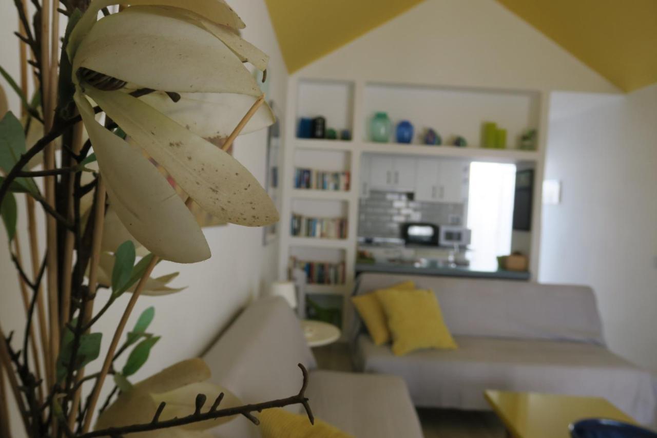 Golondrina 28 - Bungalow Fronte Oceano A Matagorda - Piscina - Aria Condizionata ティアス エクステリア 写真